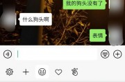 微信表情中吃瓜是什么意思,揭秘微信表情“吃瓜”背后的趣味与内涵